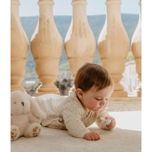 Пустушка Suavinex Wonderland у формі метелика, 6-18 міс. світло-зелена з малюнком (308783)