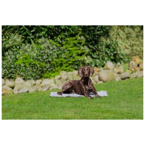 Килимок для тварин Trixie Охолоджуючий м'який XXL 110х70 см сірий (4011905287881)