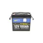 Батарея LiFePo4 WattCycle 12,8V 100Ah, 1,28kWh, Bluetooth (WT12V100AH100MINIBT)