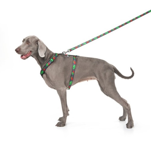 Шлея для собак WAUDOG Nylon з QR паспортом анатомічна H-подібна "Калина" L (5160-0228)