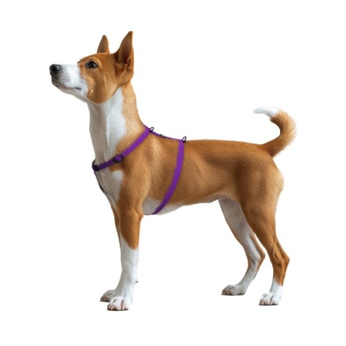 Шлея для собак WAUDOG Magnet анатомічна Н-подібна з QR-паспортом, магнітна пряжка-фастекс S фіолетова (26229)