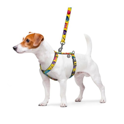 Шлея для собак WAUDOG Nylon анатомічна H-подібна з QR-паспортом "Мохнаті монстри" пластиковий фастекс, L (345-4050)