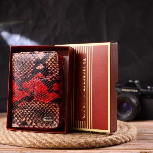 Портмоне Canpellini З натуральної шкіри Різнобарвне (21605)