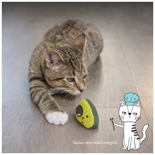 Іграшка для котів Petstages Авокадо 6.5 см (0700603678407)