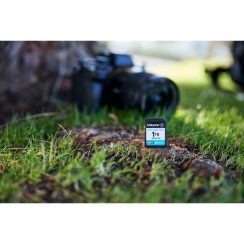 Карта пам'яті Kingston 64GB SDXC сlass 10 UHS-I U3 V30 Canvas Go Plus G4 (SDG4/64GB)