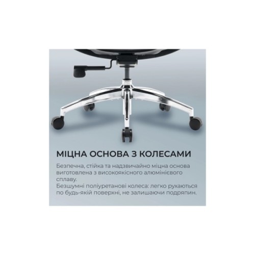 Офісне крісло Sihoo DORO S100 Mesh Black (S100-M301)