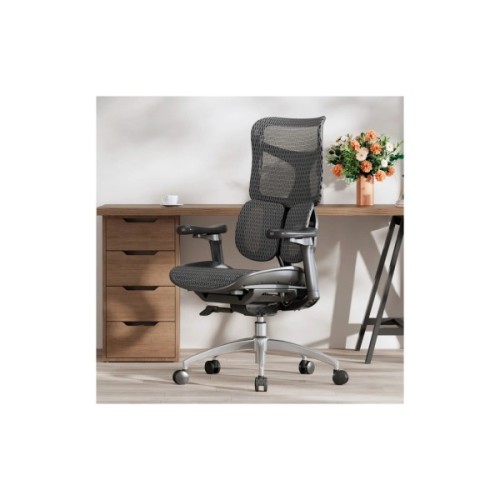 Офісне крісло Sihoo DORO S100 Mesh Black (S100-M301)