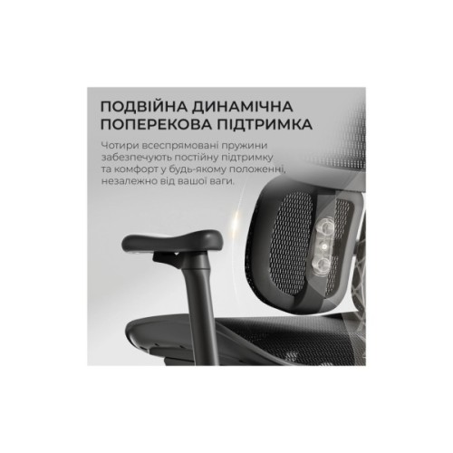 Офісне крісло Sihoo DORO S100 Mesh Black (S100-M301)