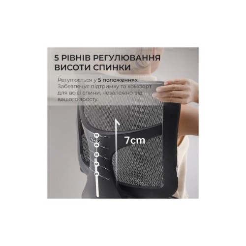 Офісне крісло Sihoo DORO S100 Mesh Black (S100-M301)