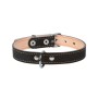 Нашийник для тварин Collar подвійний Ш 14 мм Д 27-35 см чорний (00121)