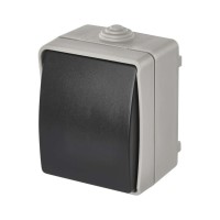 Вимикач EMOS C.5 IP54 одинарний (A1398)