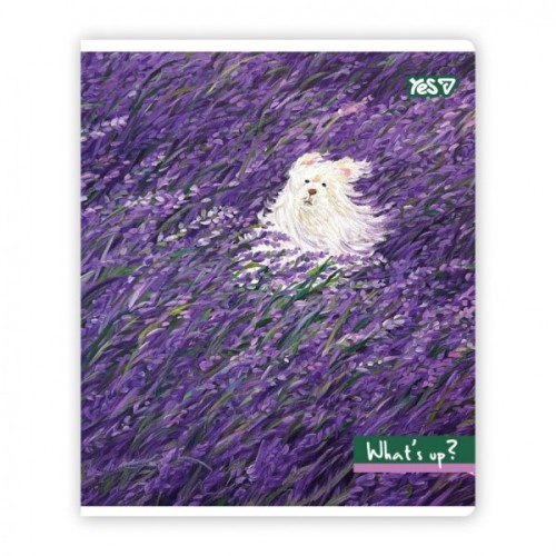 Зошит Yes Whats up? А5 96 аркушів лінія (768603)