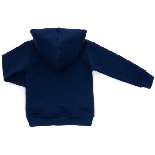 Спортивний костюм дитячий Smile флисовий (8168-104G-blue)