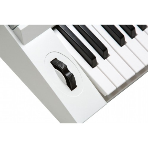 Синтезатор Kurzweil KP110 White (286763)