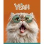 Зошит Школярик Star Cat's portraits 36 аркушів лінія (036-3631L)