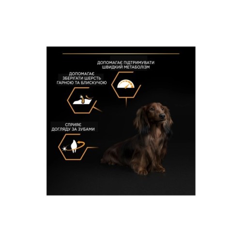 Сухий корм для собак Purina Pro Plan Dog Small&Mini Adult з куркою і рисом 3 кг (7613035114920)