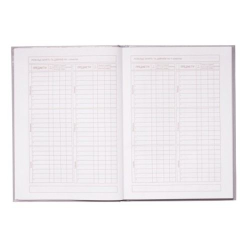 Щоденник шкільний ZiBi Love В5 48 аркушів (ZB.13813)