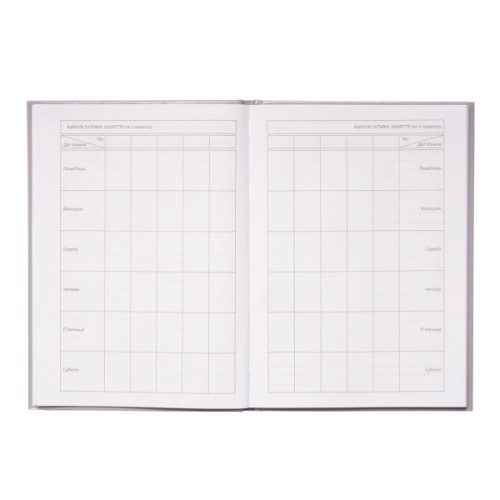 Щоденник шкільний ZiBi Love В5 48 аркушів (ZB.13813)