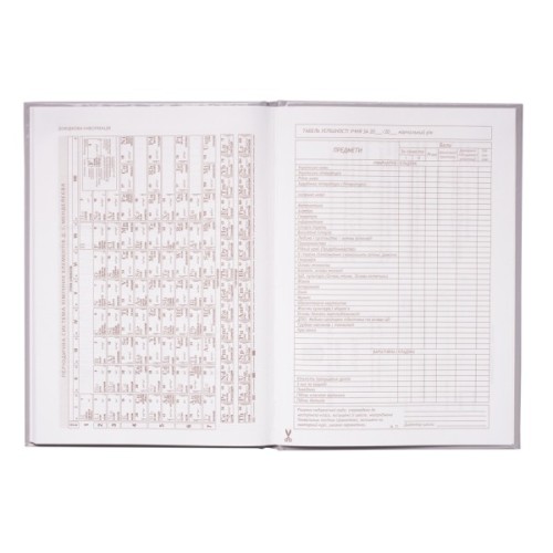 Щоденник шкільний ZiBi Love В5 48 аркушів (ZB.13813)