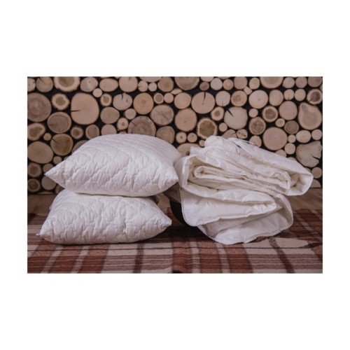 Подушка Billerbeck Е45 Bamboo 50x70 см (51932112)