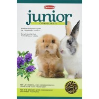 Корм для гризунів Padovan Junior coniglietti 850 г (8001254003863)