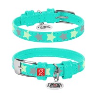 Нашийник для тварин WAUDOG Glamour з QR паспортом "Зірочка" S Ш 20 мм Д 30-39 см ментоловий (358613)