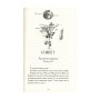 Книга Мій братик мумія і золотий скарабей - Тоска Ментен А-ба-ба-га-ла-ма-га (9786175851678)