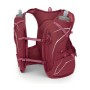 Рюкзак туристичний Osprey Dyna 6 kakio pink WS (009.3611)