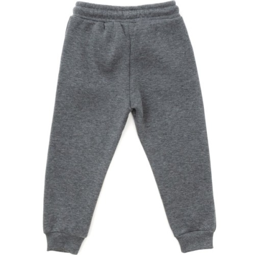 Штани дитячі Cloise спортивні флісові (CL0155019-104B-gray)