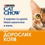 Вологий корм для кішок Purina Cat Chow Adult з куркою та цукіні 85 гх10 шт (7613036596879)