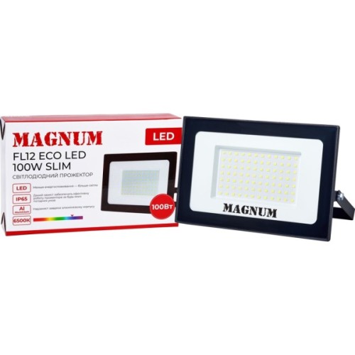 Прожектор MAGNUM FL12 ECO LED 100Вт slim 6500К IP65 (90018087)