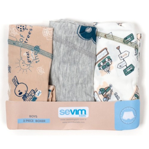 Труси дитячі Sevim боксери набір (7905-128B-mix)