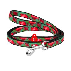Повідець для котів WAUDOG Nylon "Гранати" Ш 10 мм Д 122 см (369-4052)