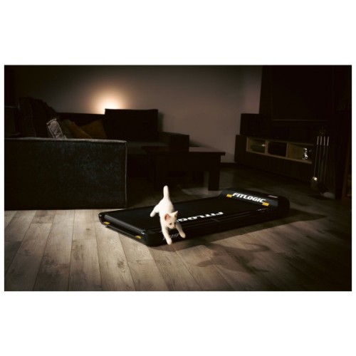 Бігова доріжка FitLogic T119