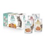 Вологий корм для кішок Brit Care Fillets in Gravy Flavour box Sterilized 12х85 г (8595602565337)