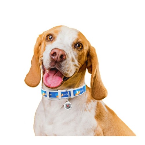 Нашийник для тварин WAUDOG Design з QR паспортом "Прапор" Ш 12 мм Д 20-28 см білий (3602-0229-15)