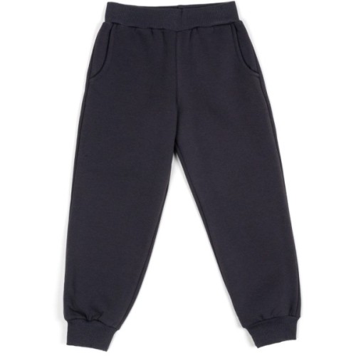 Спортивний костюм дитячий Smile флисовий (3618-134G-gray)