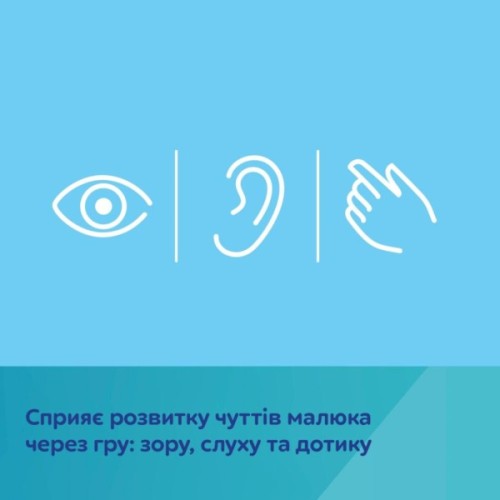 Розвиваюча іграшка Canpol книжечка розвиваюча FOX (75/202)