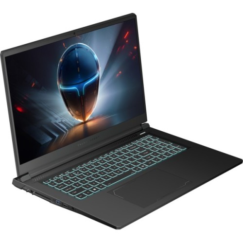 Ноутбук Thunderobot 911 X17 (911X17-i7136H57E1Q165MBD)