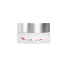 Крем для обличчя SPA Treatment Abso Moist Cream Зволожуючий 30 г (4513857304932)