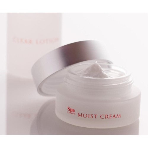Крем для обличчя SPA Treatment Abso Moist Cream Зволожуючий 30 г (4513857304932)
