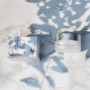 Крем для обличчя SPA Treatment Abso Moist Cream Зволожуючий 30 г (4513857304932)