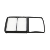 Повітряний фільтр для автомобіля Wixfiltron WA9629