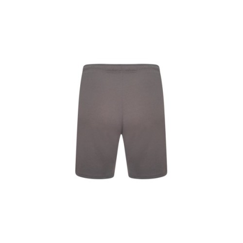Шорти Puma teamRISE Short 704942-13 сірий XXL (4063699212013)