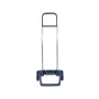 Сумка-візок Rolser Jet Star Joy Mandarina (JET046-1012) (931437)