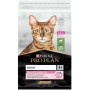 Сухий корм для кішок Purina Pro Plan Delicate Lamb зі смаком ягняти 10 кг (7613035846944)