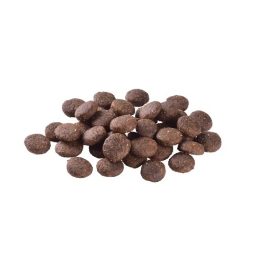 Сухий корм для собак Brit Care Dog Grain-free Junior Large Breed для великих порід з лососем 3 кг (8595602558872)