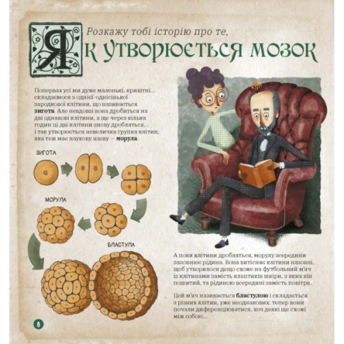 Книга Як працює людський мозок - Пабло Барречеґурен Ранок (9786170981639)