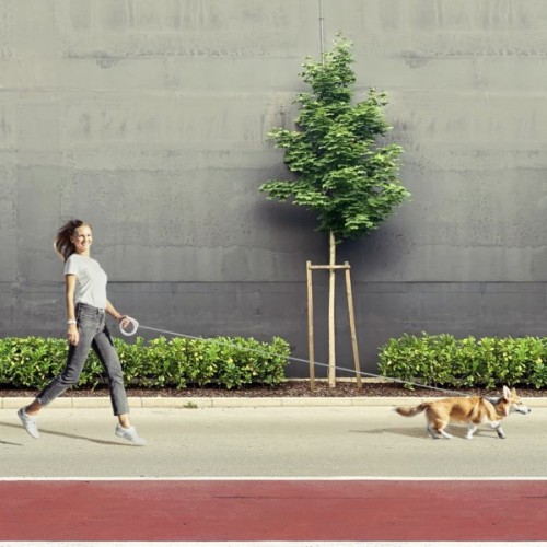 Повідець для собак WAUDOG R-leash світловідбиваюча стрічка XS-M до 40 кг 2.9 м білий (812715)