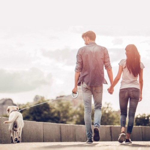 Повідець для собак WAUDOG R-leash світловідбиваюча стрічка XS-M до 40 кг 2.9 м білий (812715)